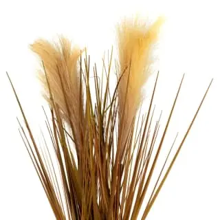 B&M Pampas Grass In Stone Pot - Neutral 2 B&M Pampas Grass In Stone Pot - Neutral - Image 2