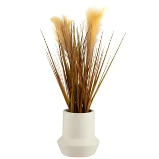 B&M Pampas Grass In Stone Pot - Neutral 1 B&M Pampas Grass In Stone Pot - Neutral